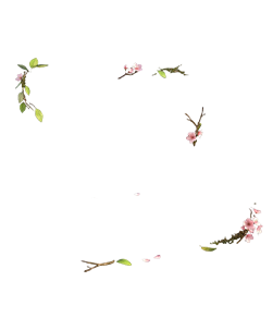static img