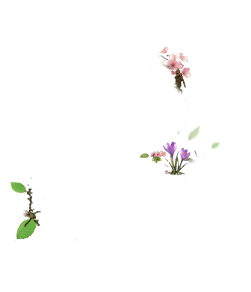 casehover